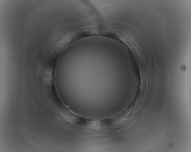 X0000091480127200708161426