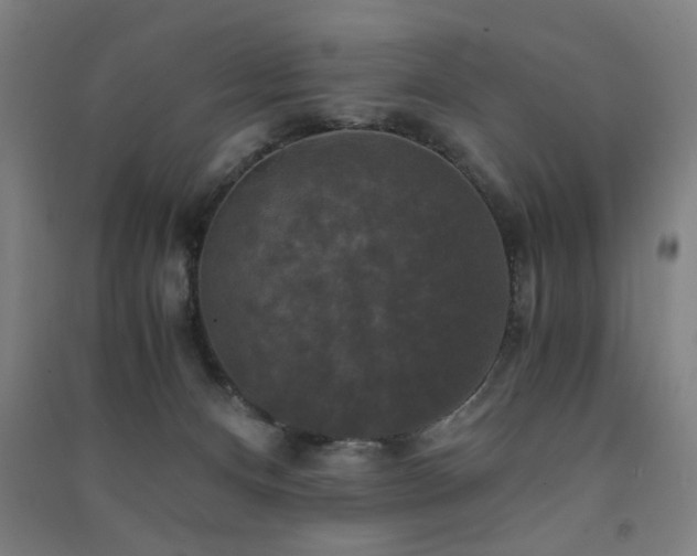X0000091480128200708161426