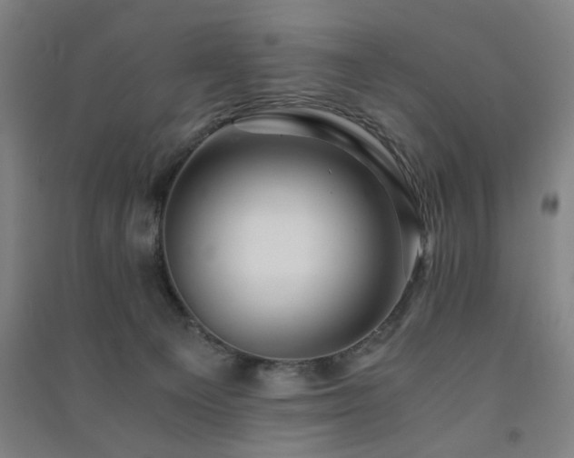 X0000091480129200708161426