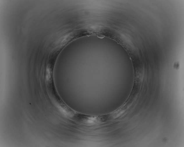 X0000091480130200708161426