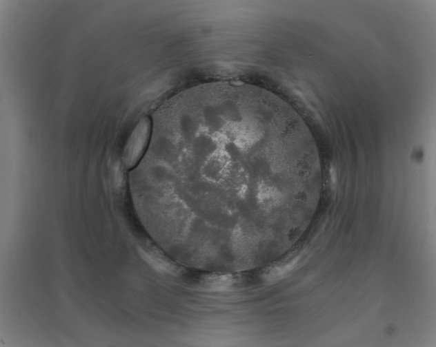 X0000091480131200708161426