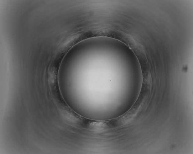 X0000091480133200708161426