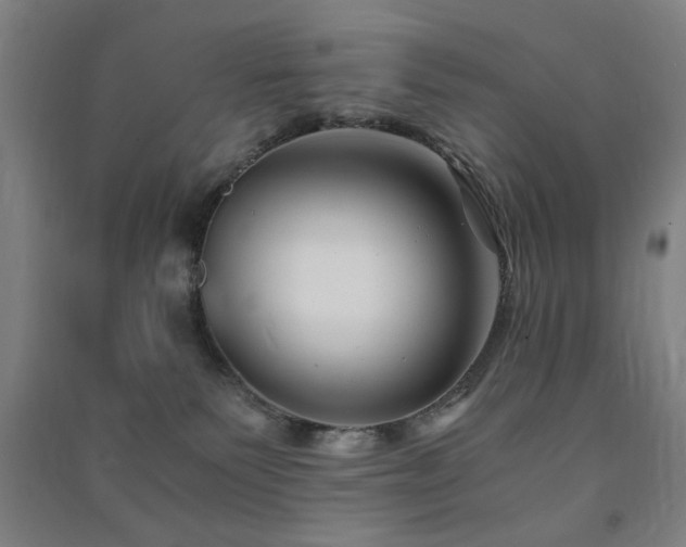 X0000091480135200708161426