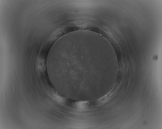 X0000091480136200708161426