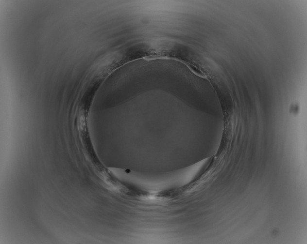 X0000091480137200708161426