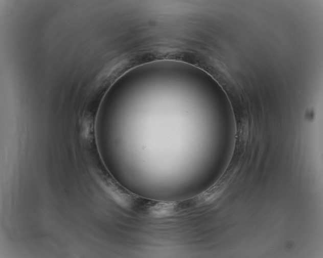 X0000091480138200708161426