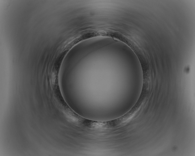 X0000091480139200708161426