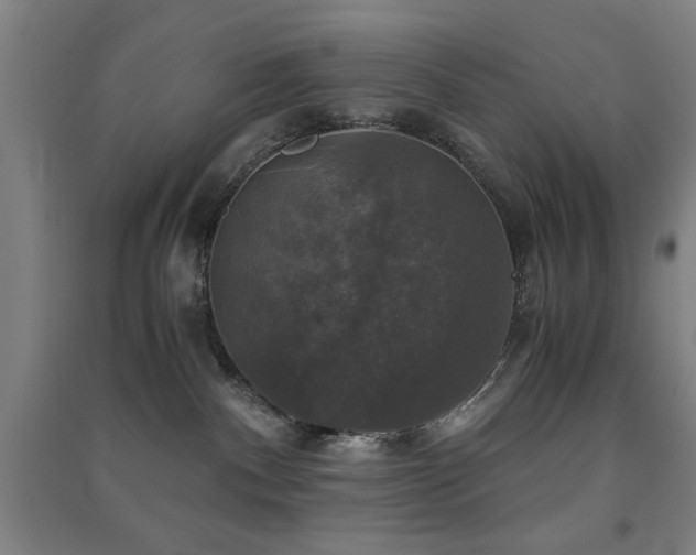 X0000091480140200708161426