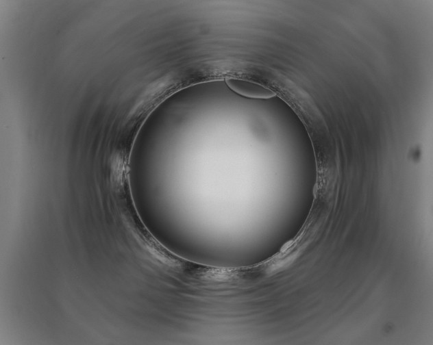 X0000091480142200708161426