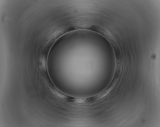 X0000091480143200708161426