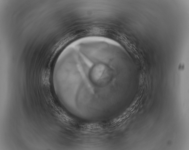 X0000091480146200708161425