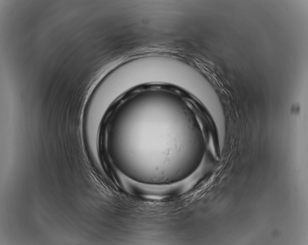 X0000091480148200708161425