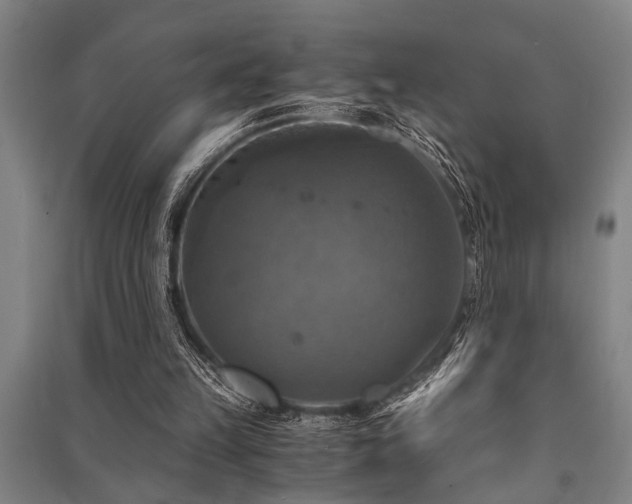 X0000091480149200708161425