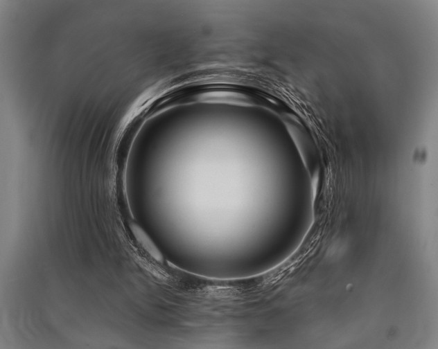 X0000091480150200708161425