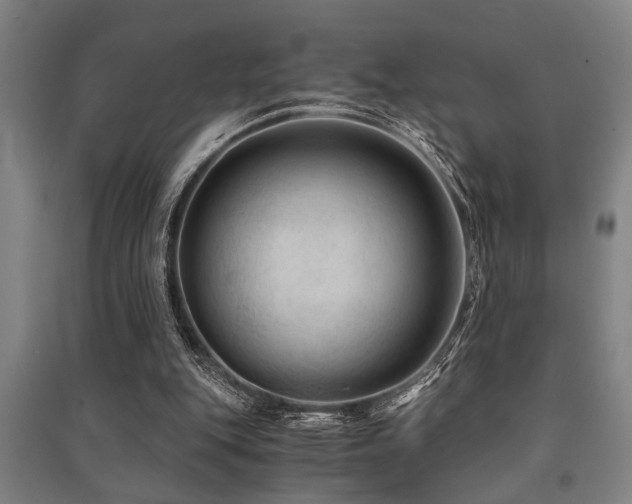 X0000091480151200708161425