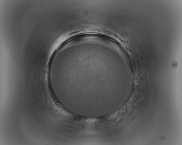 X0000091480152200708161425