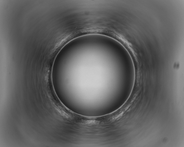 X0000091480153200708161425