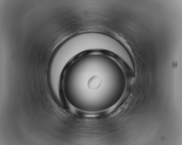 X0000091480154200708161426