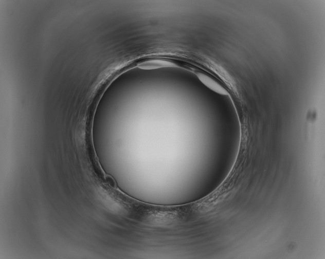 X0000091480155200708161426