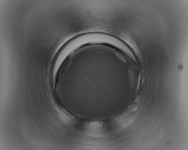 X0000091480156200708161426