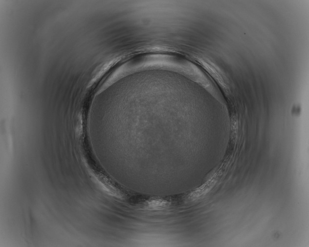 X0000091480158200708161426