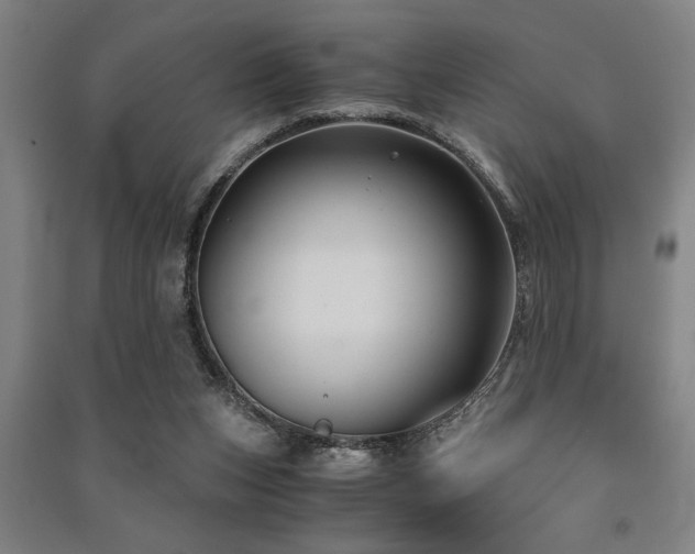 X0000091480159200708161426