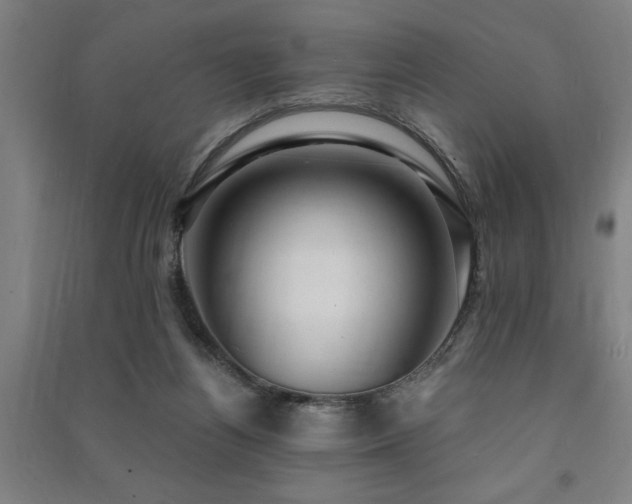 X0000091480164200708161426