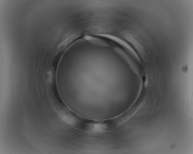 X0000091480165200708161426