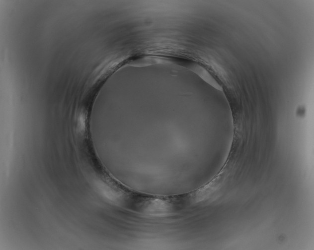 X0000091480166200708161426