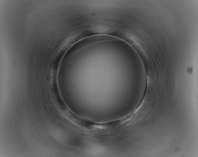 X0000091480167200708161426