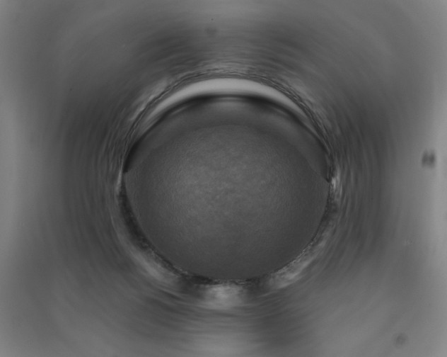 X0000091480168200708161426