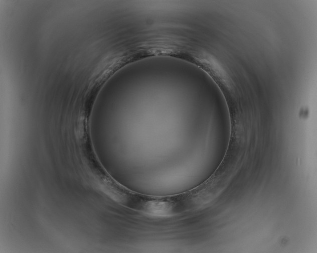 X0000091480169200708161426