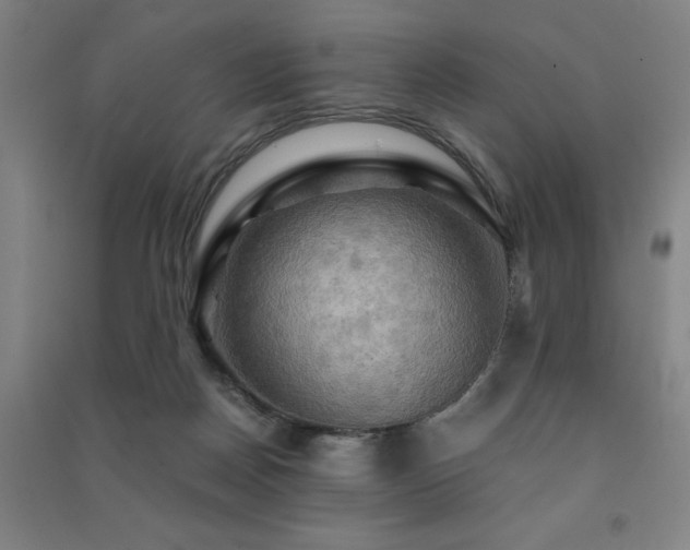 X0000091480170200708161426