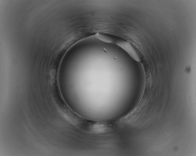 X0000091480171200708161426
