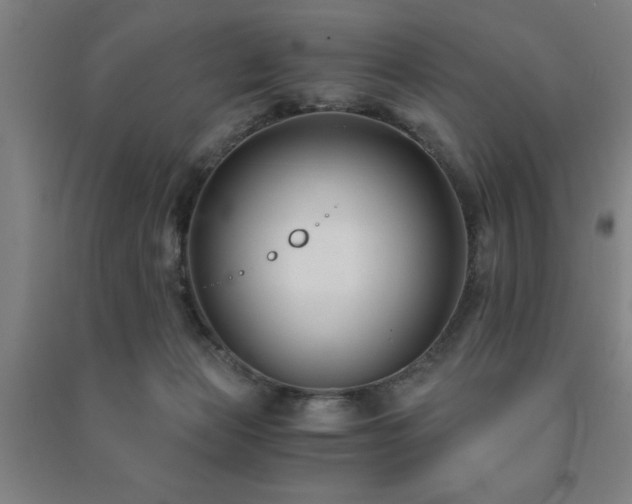 X0000091480173200708161426