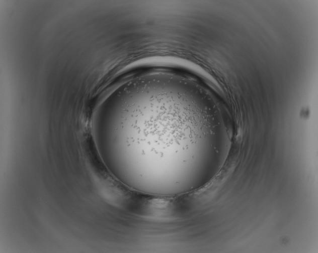 X0000091480176200708161426