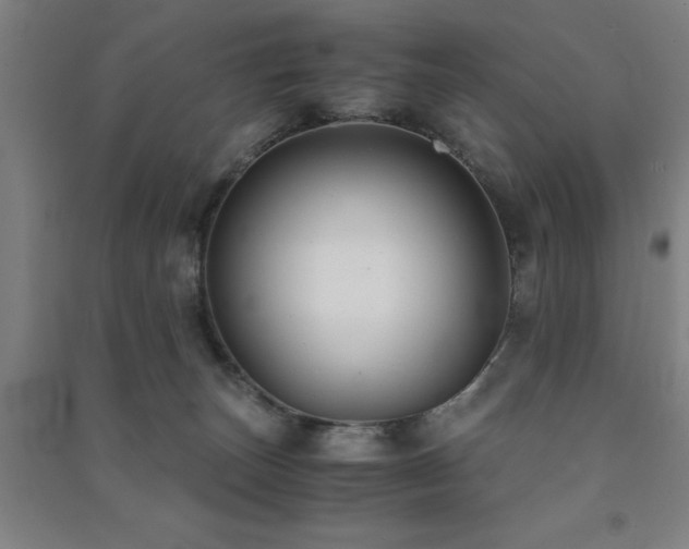 X0000091480179200708161426