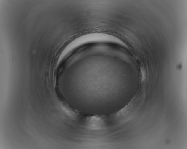 X0000091480180200708161426