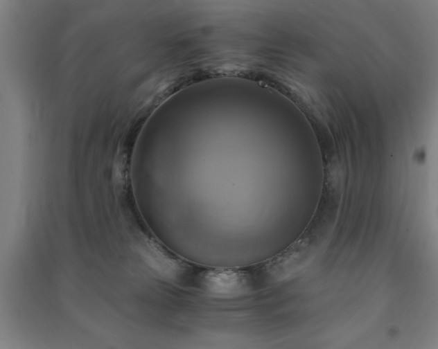 X0000091480181200708161426