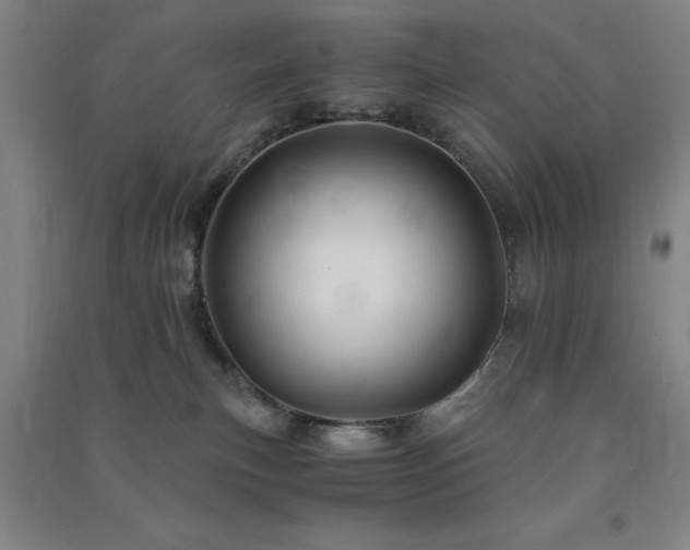 X0000091480183200708161426