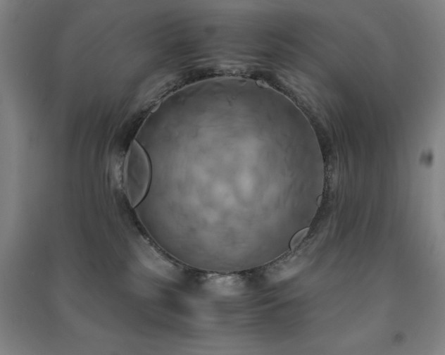 X0000091480185200708161426