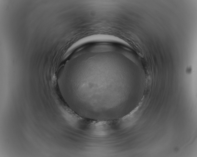 X0000091480186200708161426