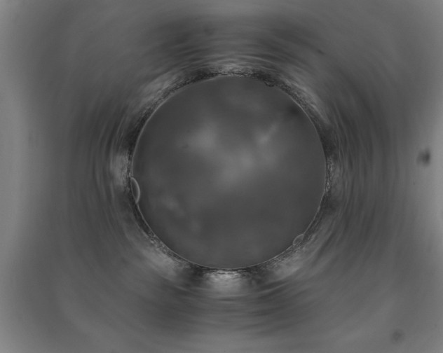 X0000091480189200708161426