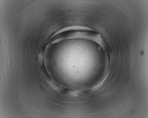 X0000091480190200708161426