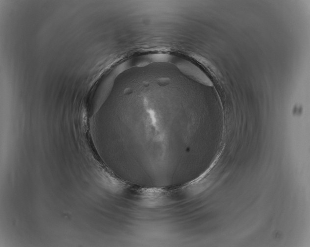 X0000091480192200708161426