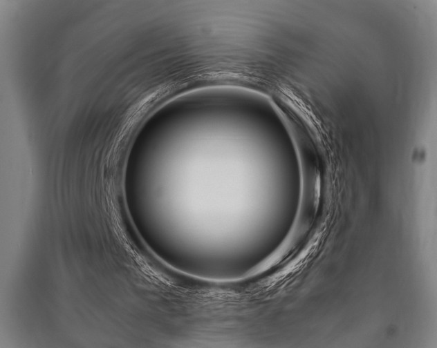 X0000091480193200708161425