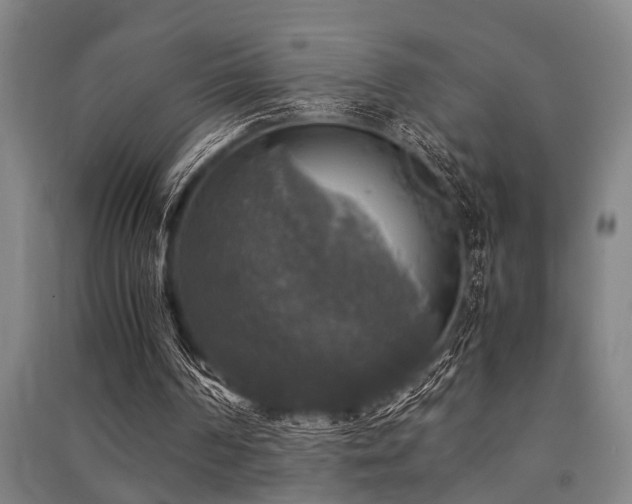 X0000091480194200708161425