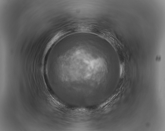 X0000091480195200708161425