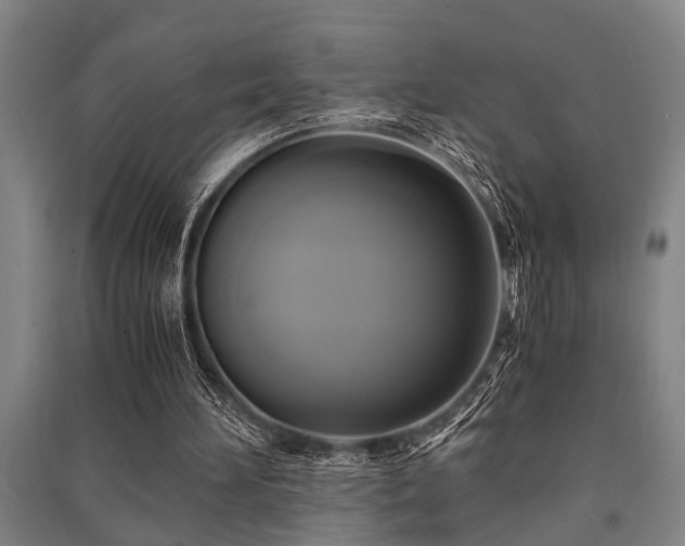 X0000091480196200708161425