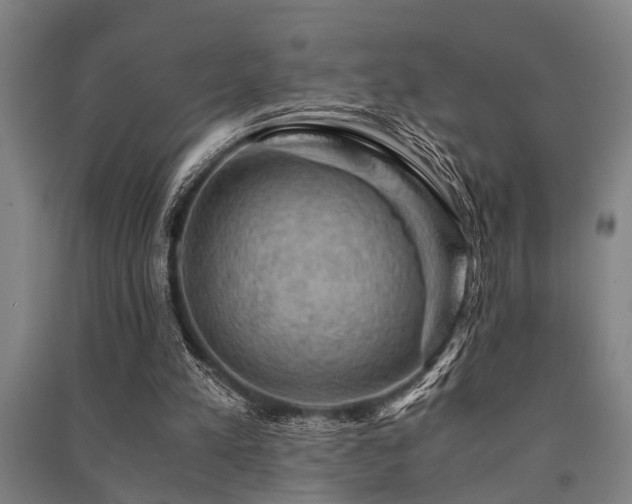 X0000091480197200708161425